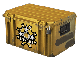 Revolver Case 