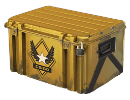 Winter Offensive Weapon Case 